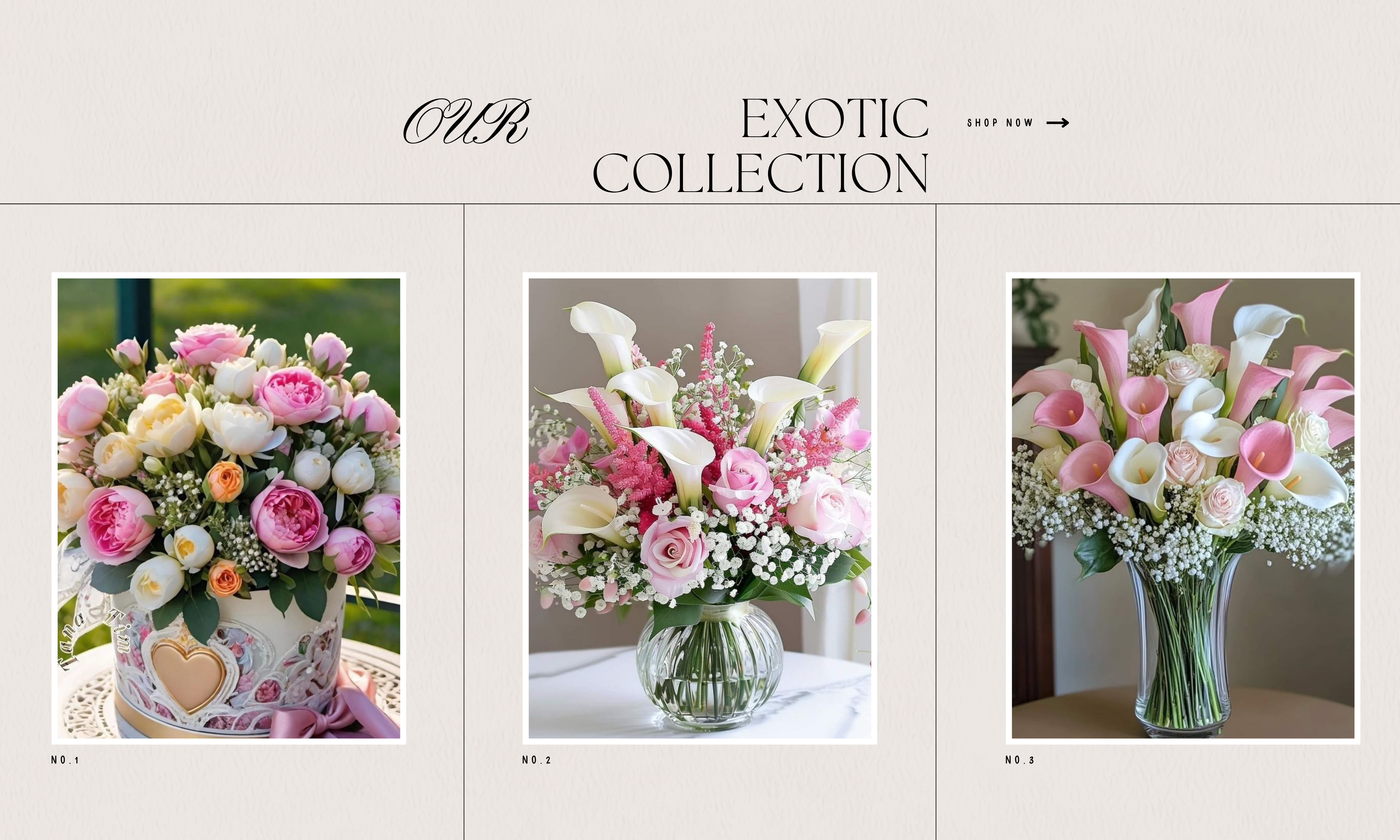 Chic and Elegant New Arrivals Website Homepage Banner