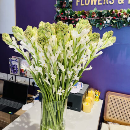 Elegant Fresh Tuberose Bunch