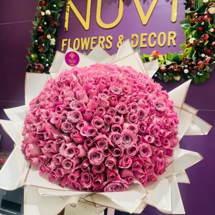 Imperial Purple Rose Dome